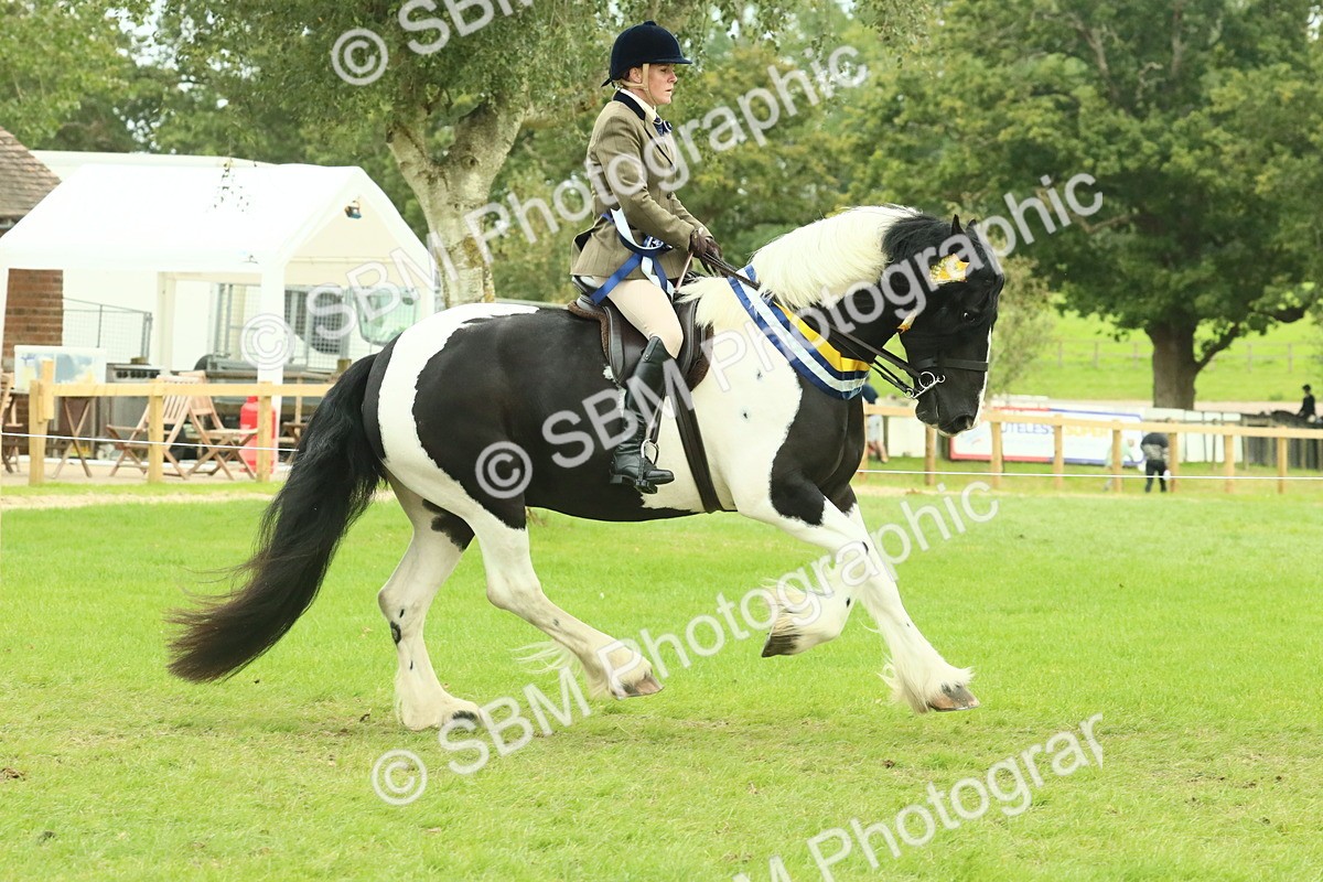 SBM_75165 - Super Supreme Championship