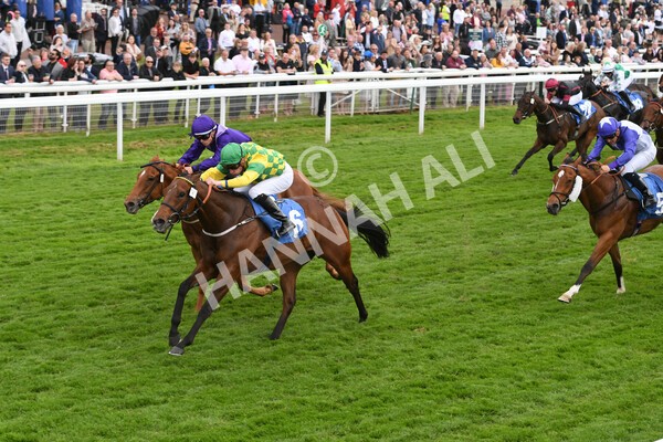 yr22052022r3-38 - Race 3: 4:35pm Sky Bet Sunday Series Dash