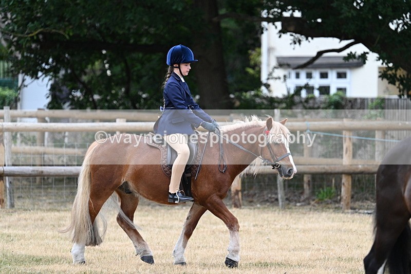 WJ7_0431 - Class 2 Best rider