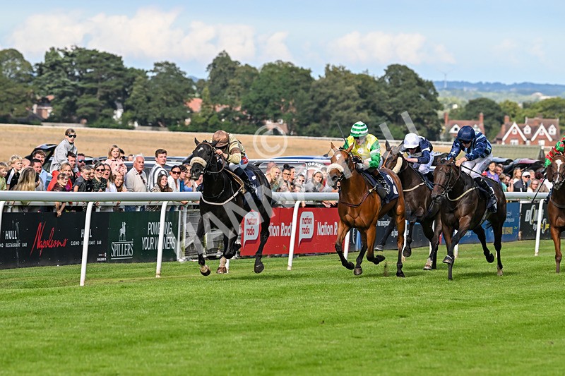 290725-Race 6-Jojo Rabbit-0983 - Race 6