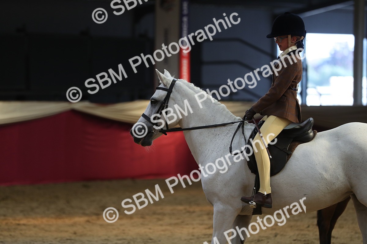 SBM_08347 - Class 11R Regional Ridden Veteran