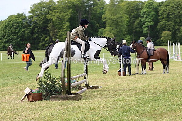 IMG_2909 - Working Hunter