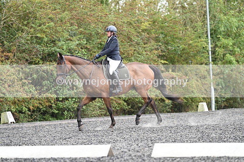 WJ7_6169 - Time 14:10 to 14:45