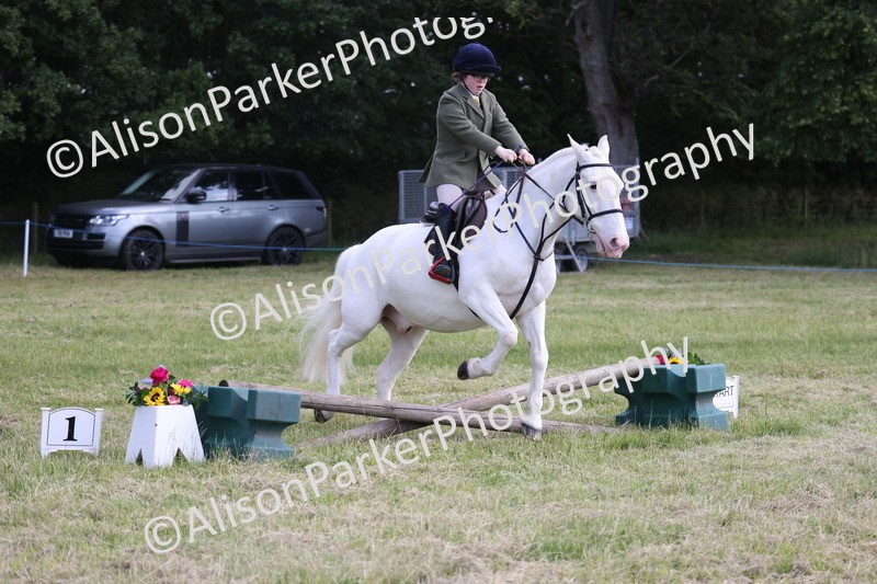 20260614-0766 - Class 20 - Beginners Working Hunter Pony