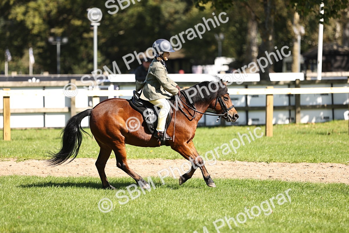 SBM_19343 - S3 - TSR Ridden Pony Showing