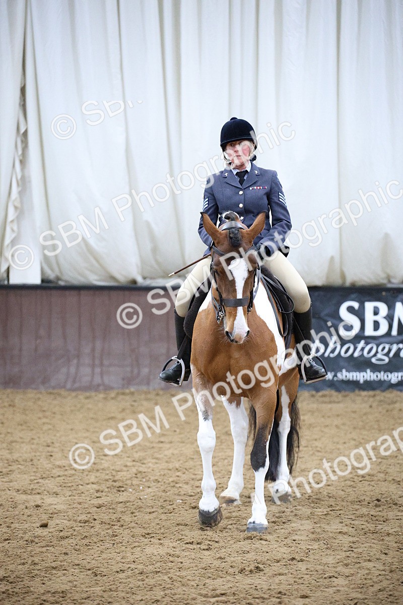 5K7A6086 - Class 48 - Ridden Mare