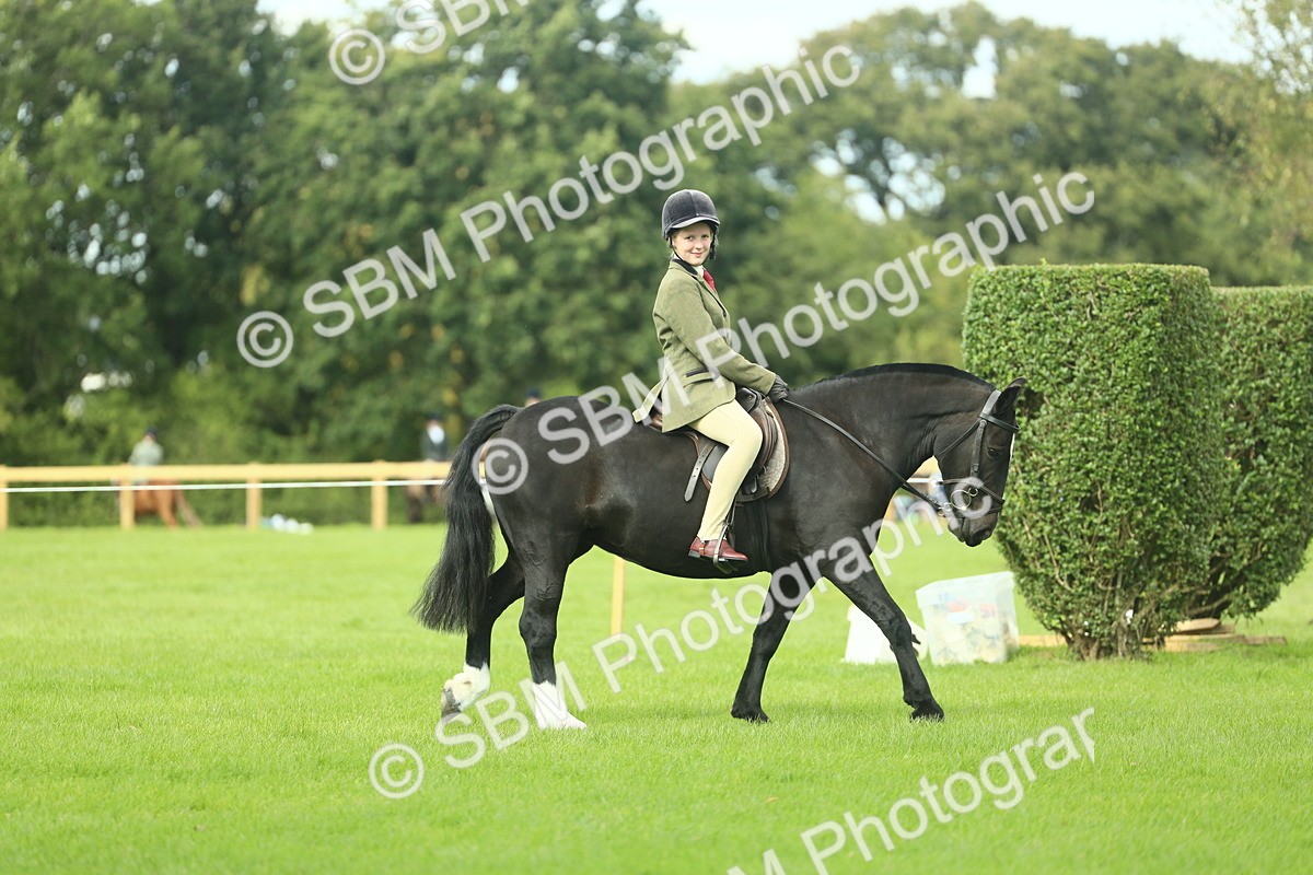 SBM_44863 - Working Hunter Pony Supreme Championship