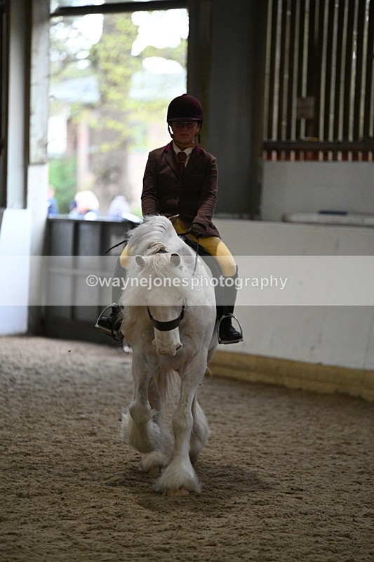 WJ7_4176 - Class 17 Ridden Cob