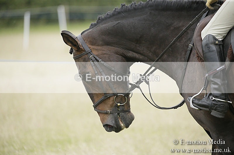 B230619-0872 - Bourne Valley Riding Club Summer Show 23/06/19