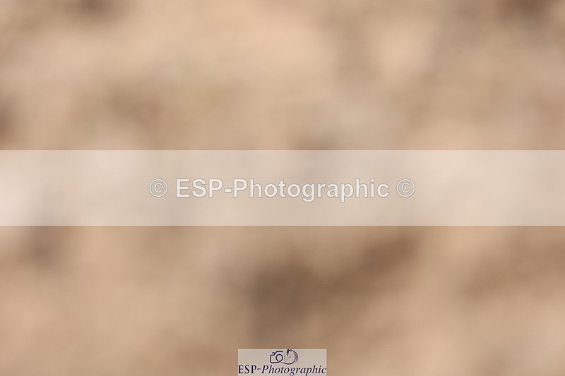 240621A-145525-04617 - Cls 20 BD Music Inter I