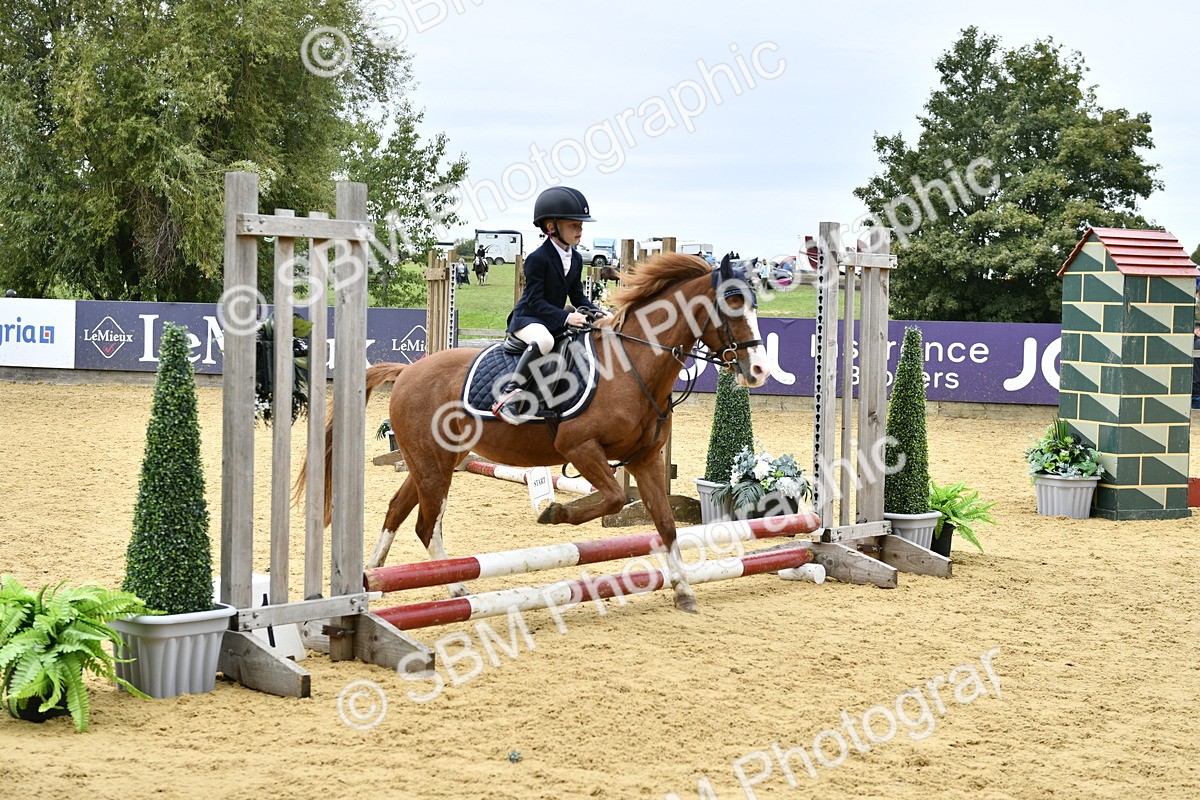 SBM_65454 - J2a mini Tour Junior Pony 30cm Championship