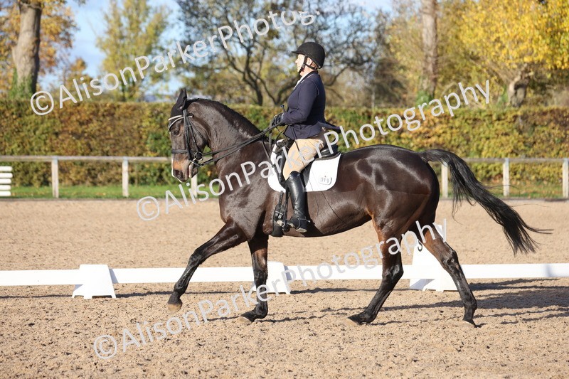 20251102-1301 - Class 9 - Advanced Medium 3