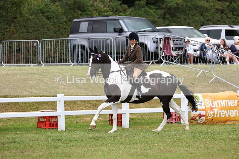 3E7A0952 - Class 8: Open Riding Horse/Hack