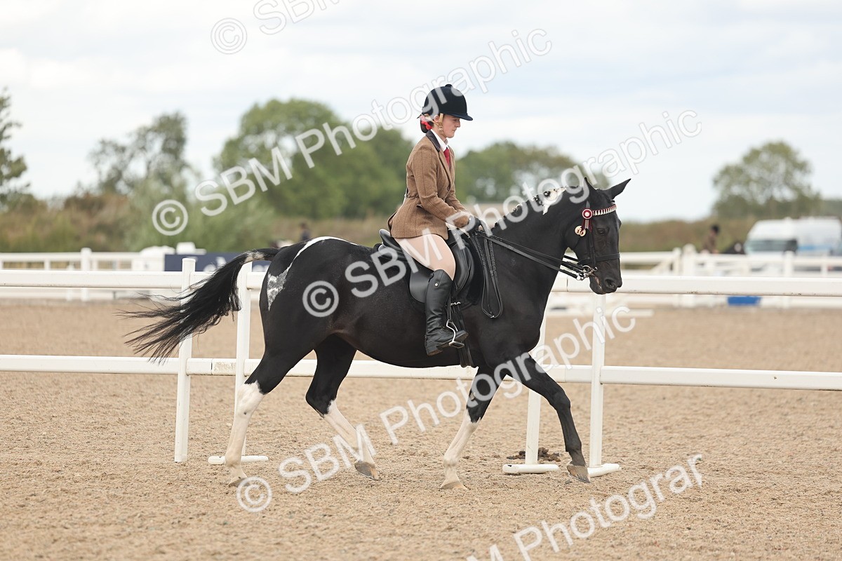 SBM_18113 - Class 315 - Best Horse-Rider Combination