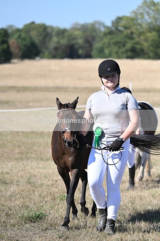 WJ7_2001 - Class 43 Best Six Legs (In hand)