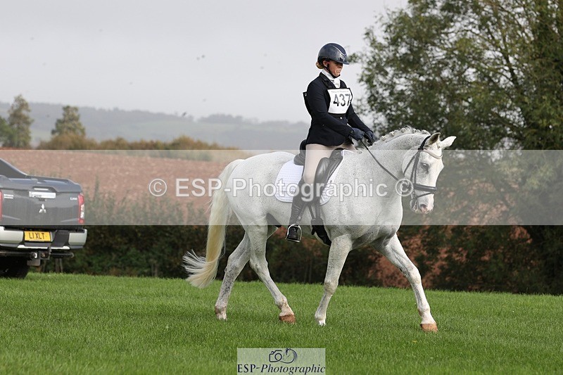 231019-134713-03767 - 437-DONBEG.GREY-Hannah.Underhill-DR