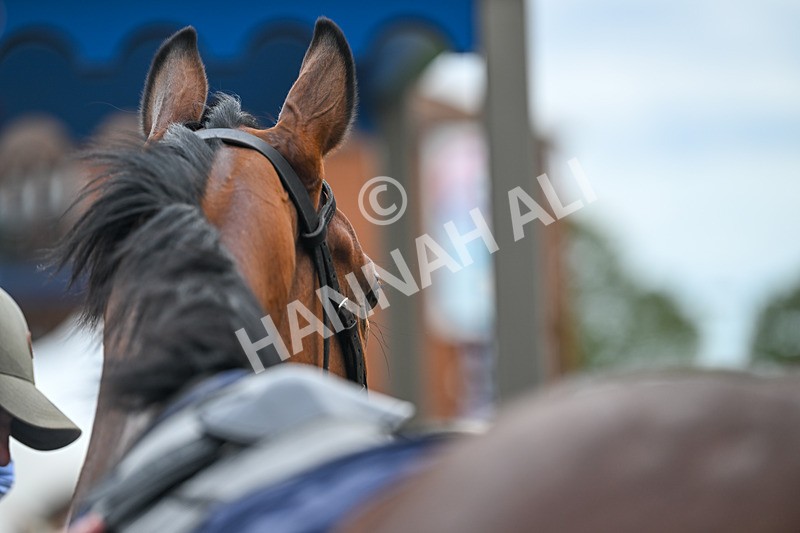 300825-Race 3-Secret Echo-0885