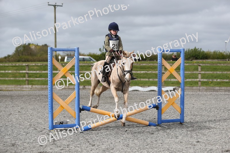 20260412-0144 - Show Jumping