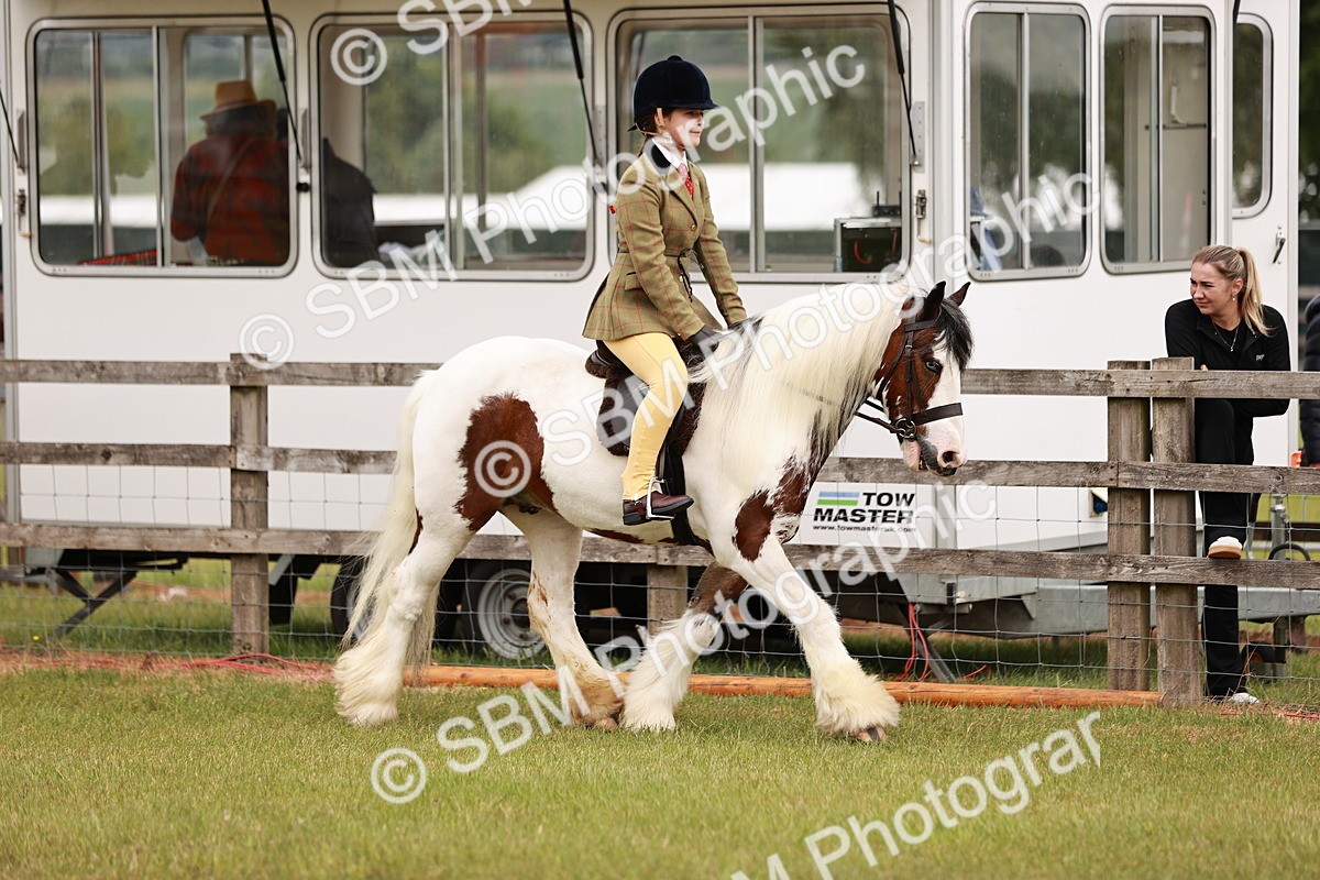 SBM_06112 - Class 39-41 TGCA In Hand and Ridden