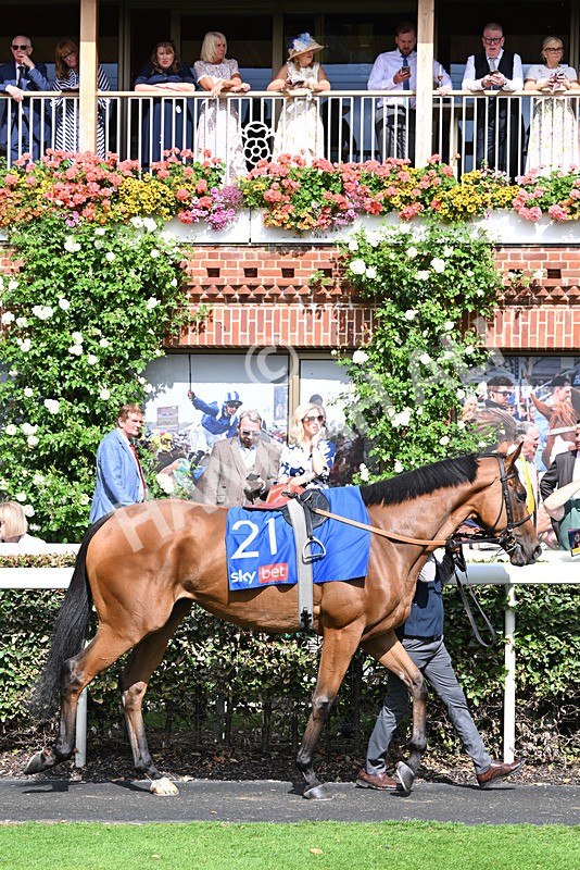 220826-193 Circus Of Rome - Race 4 15.35pm Sky Bet Ebor Handicap