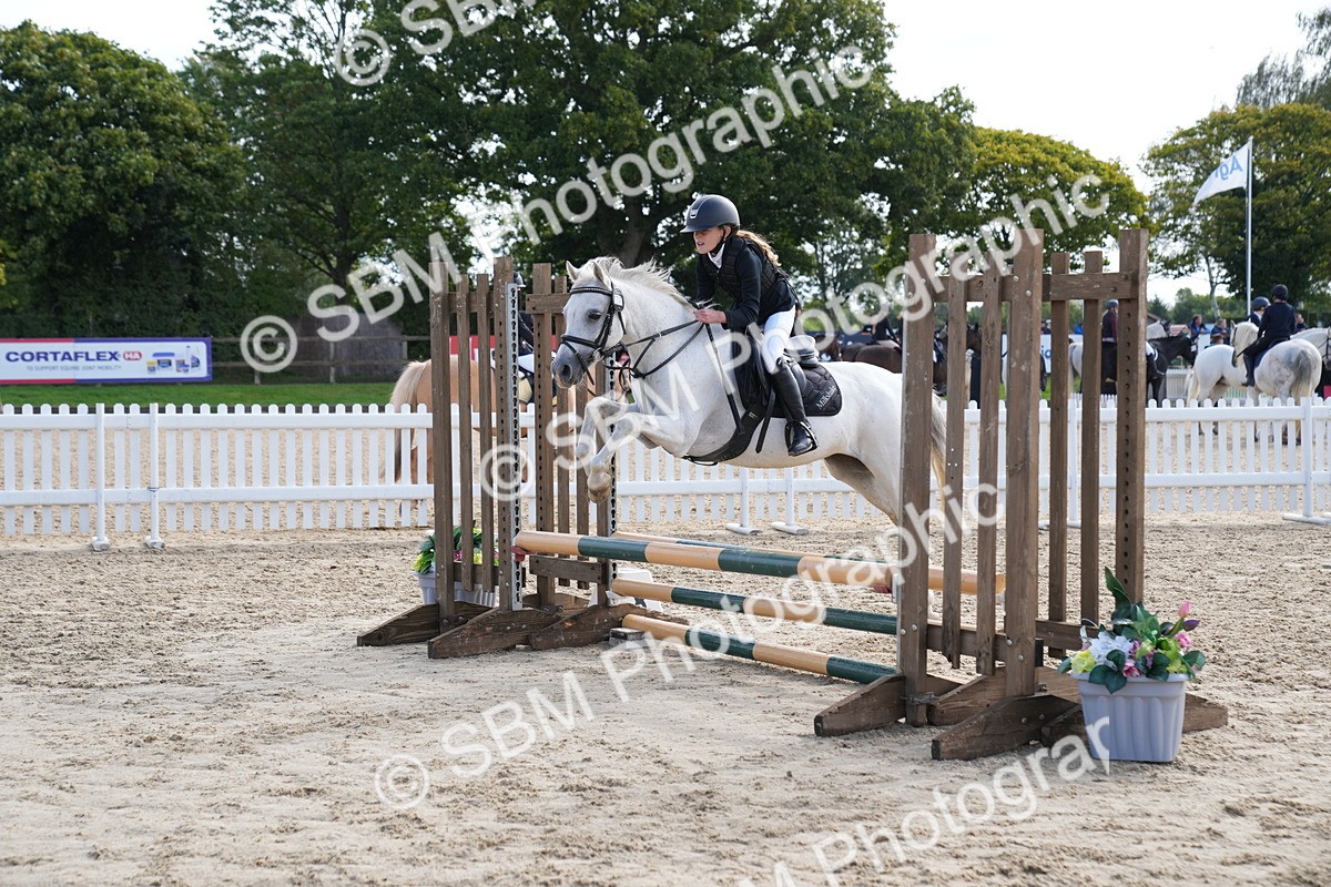 SBM_02575 - J55 - Clear Round 60cm