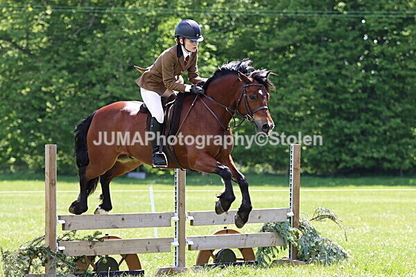 IMG_3759 - Working Hunter