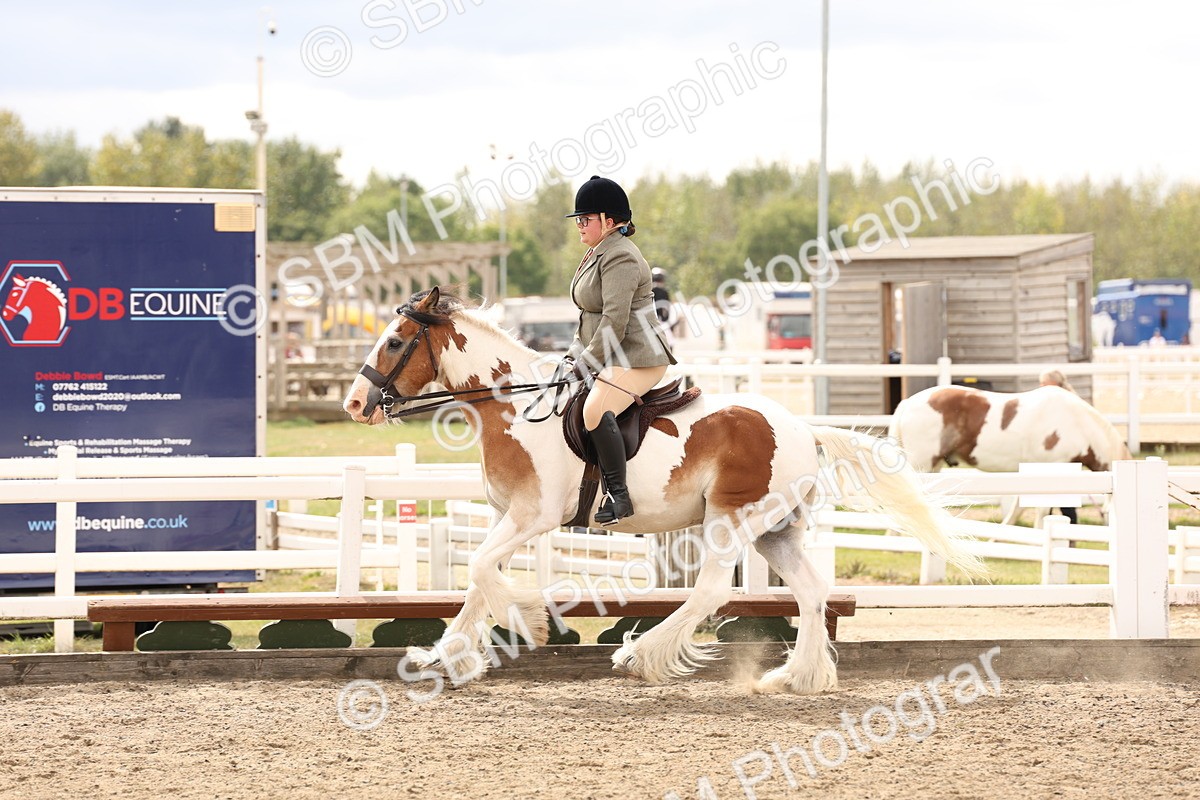 SBM_05198 - Class 56b -  Style & Performance - 50cm (20+)