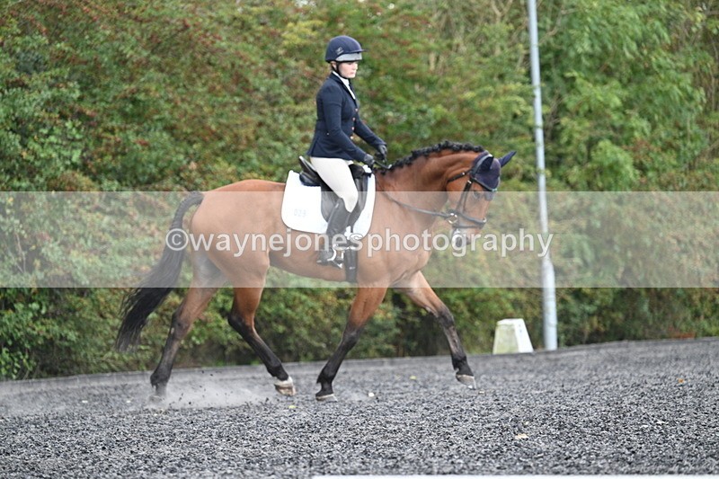 WJ7_5191 - Time 12:38 to 13:28