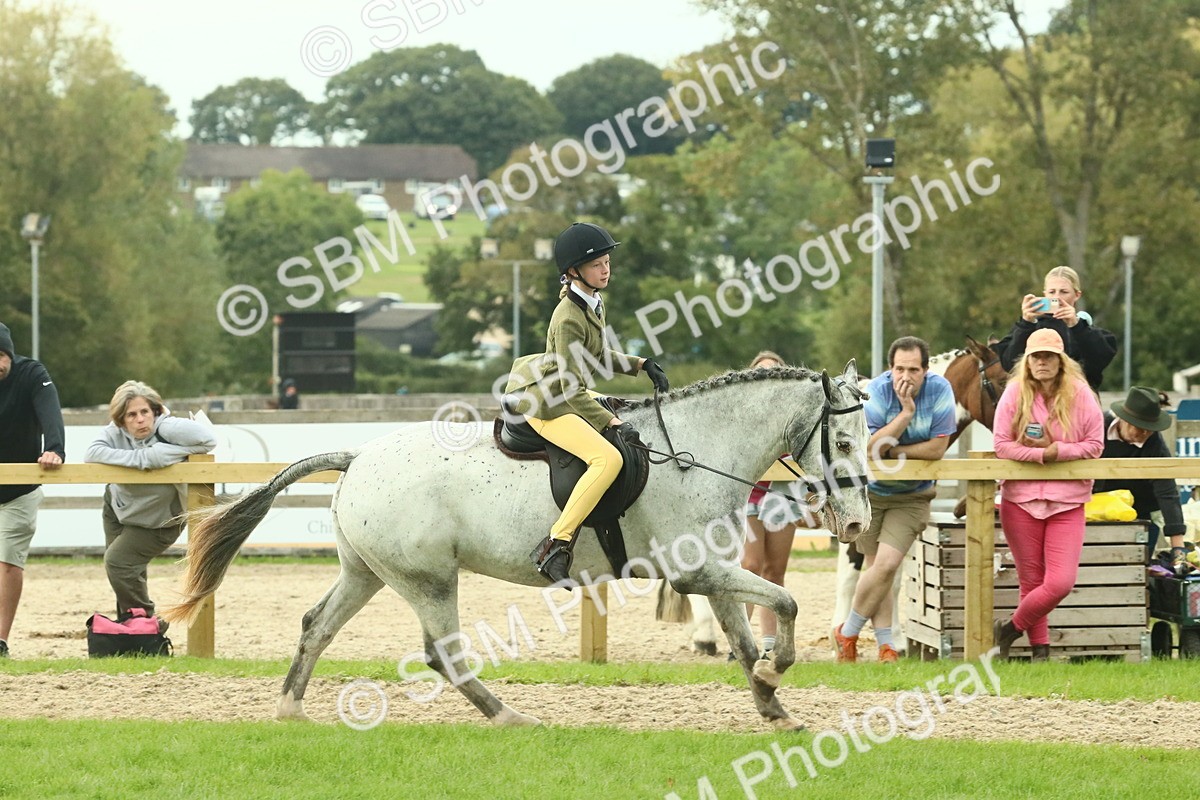 SBM_74068 - S 61 - Show Pony & Show Hunter Pony Ridden
