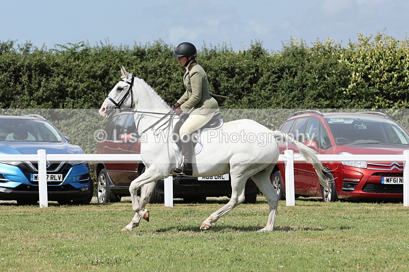 JPP_2424 - Class 19: Working Hunter 60cm