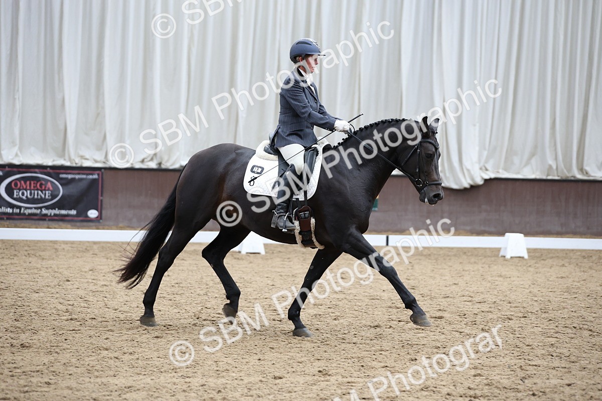 5K7A0234 - Novice 2