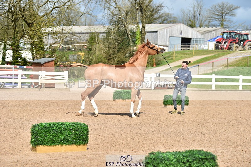 240417A-144404-00629 - 2pm to 3pm