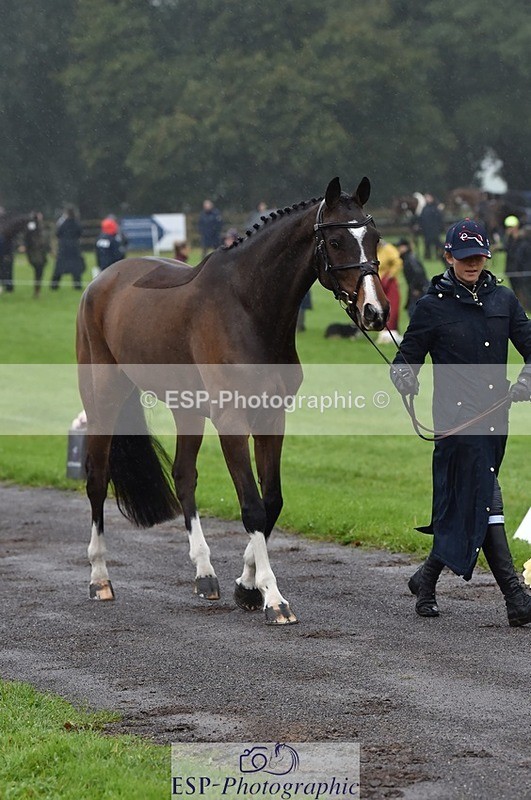 231018-120414-00058 - 007-JEWEL-Charlotte.Cooke-TrotUp