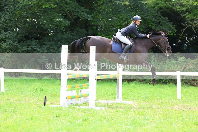 3E7A7364 - Class 5: Senior British Novice/90cm open