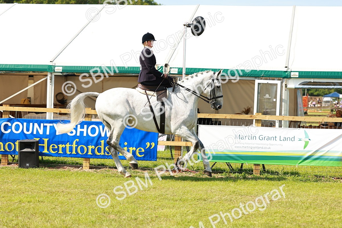 SBM_13135 - Class 70-71 - Side Saddle