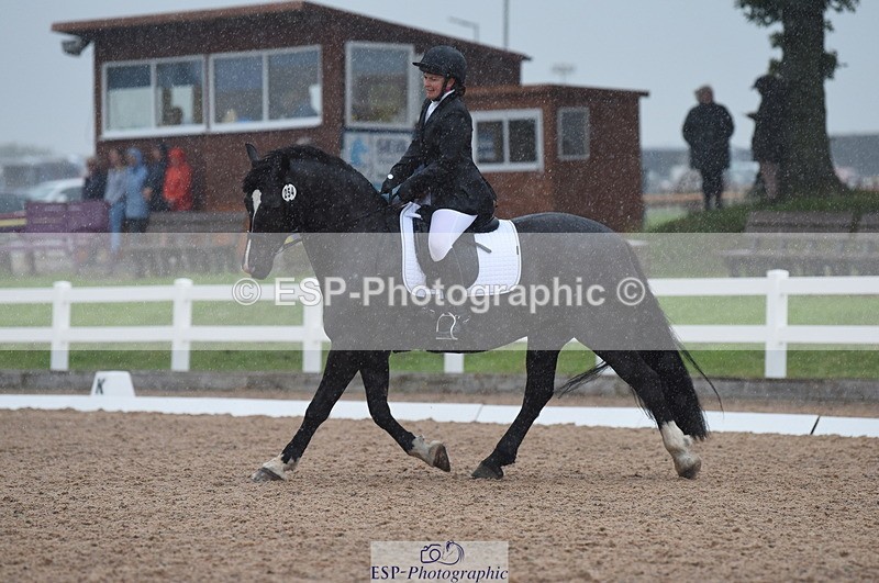 230708A-123142-01737 - Prelim 7