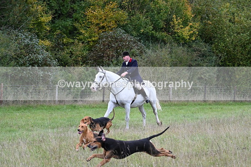 WJ7_3568 - Camera 1 Line 1