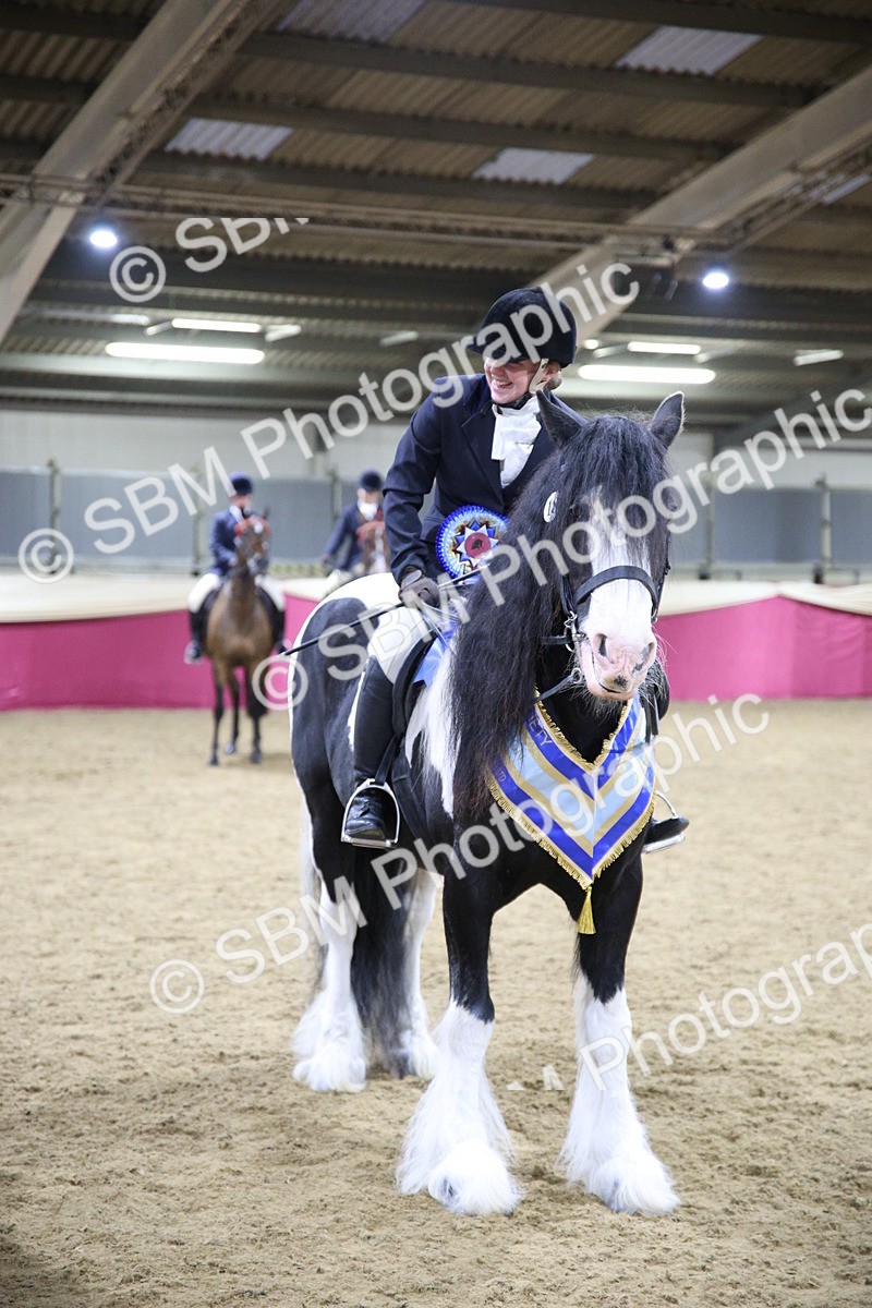 5K7A1533 - Class M Ridden Pairs Champ