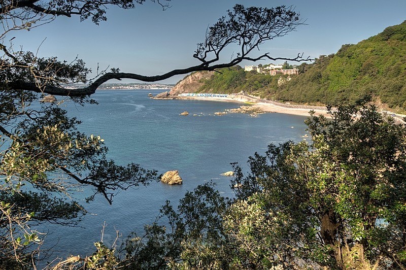 Meadfoot Beach Chalets through the trees along the coast path - Meadfoot Beach Torquay