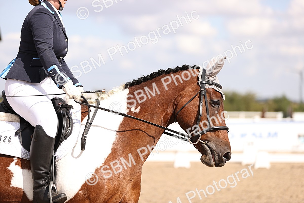 SBM_03728 - CLass 35 Intro 3