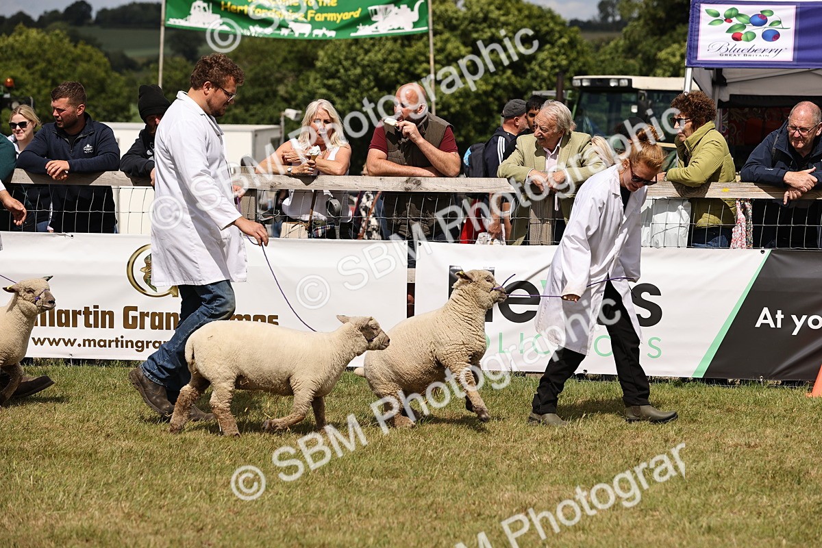 SBM_16845 - Grand Parade