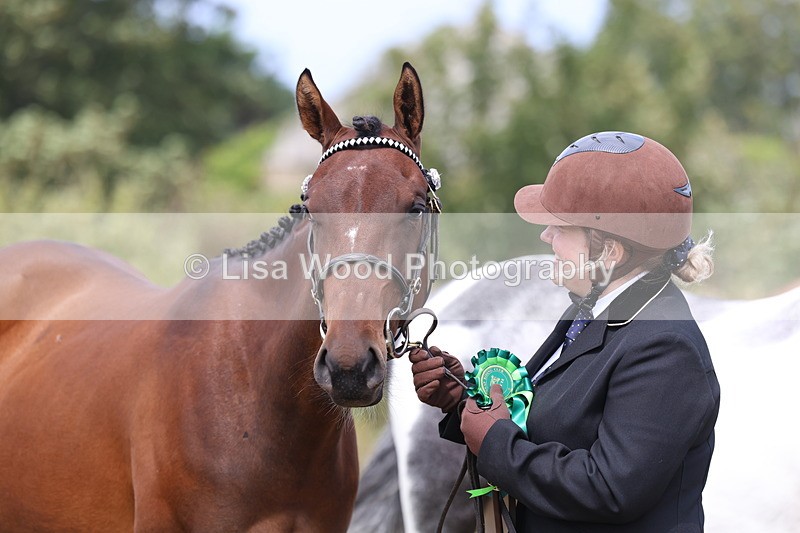 3E7A5596 - Class 20: Sports Horse In Hand