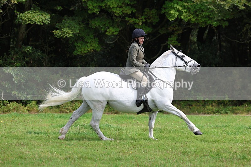 3E7A5870 - Class 26 and 27: 70cm Working Hunter