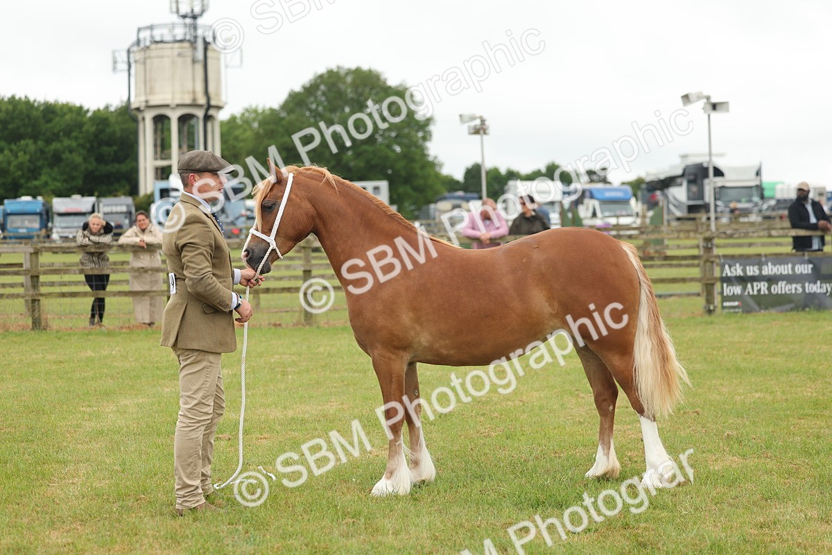 SBM_02350 - Class 50-57 - M&M Welsh Pony In Hand