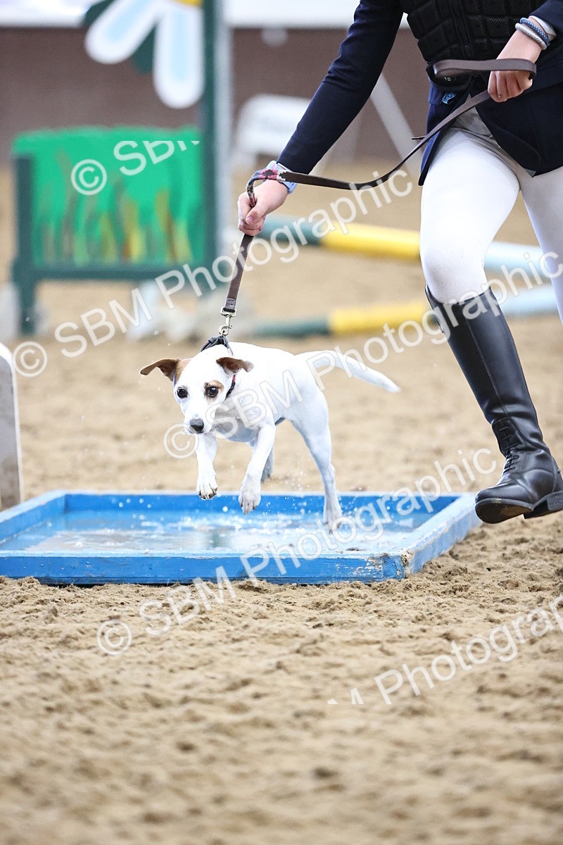SBM_001574 - Class 3 - Horse & Hound 60cm