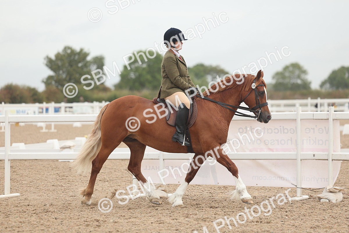 SBM_01862 - Class 14 - Ridden M&M Wildcard