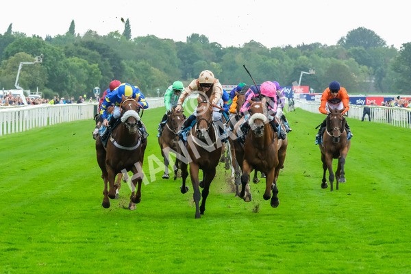080925-Race 3-Rock N Roll Pinkie-8467 - Race 3 3.30pm Skybet Proud To Support ROR Stayers Handicap