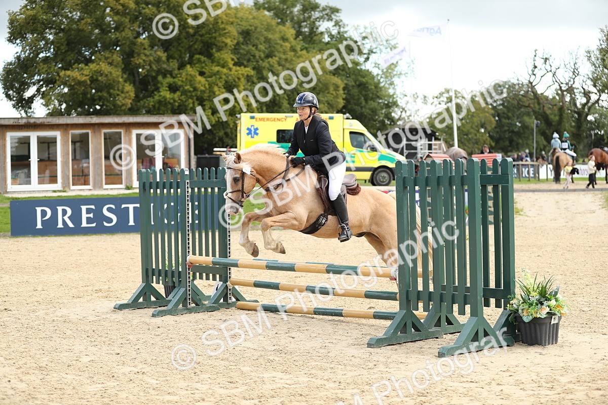 SBM_09982 - J36 - Veteran Rider 70cm