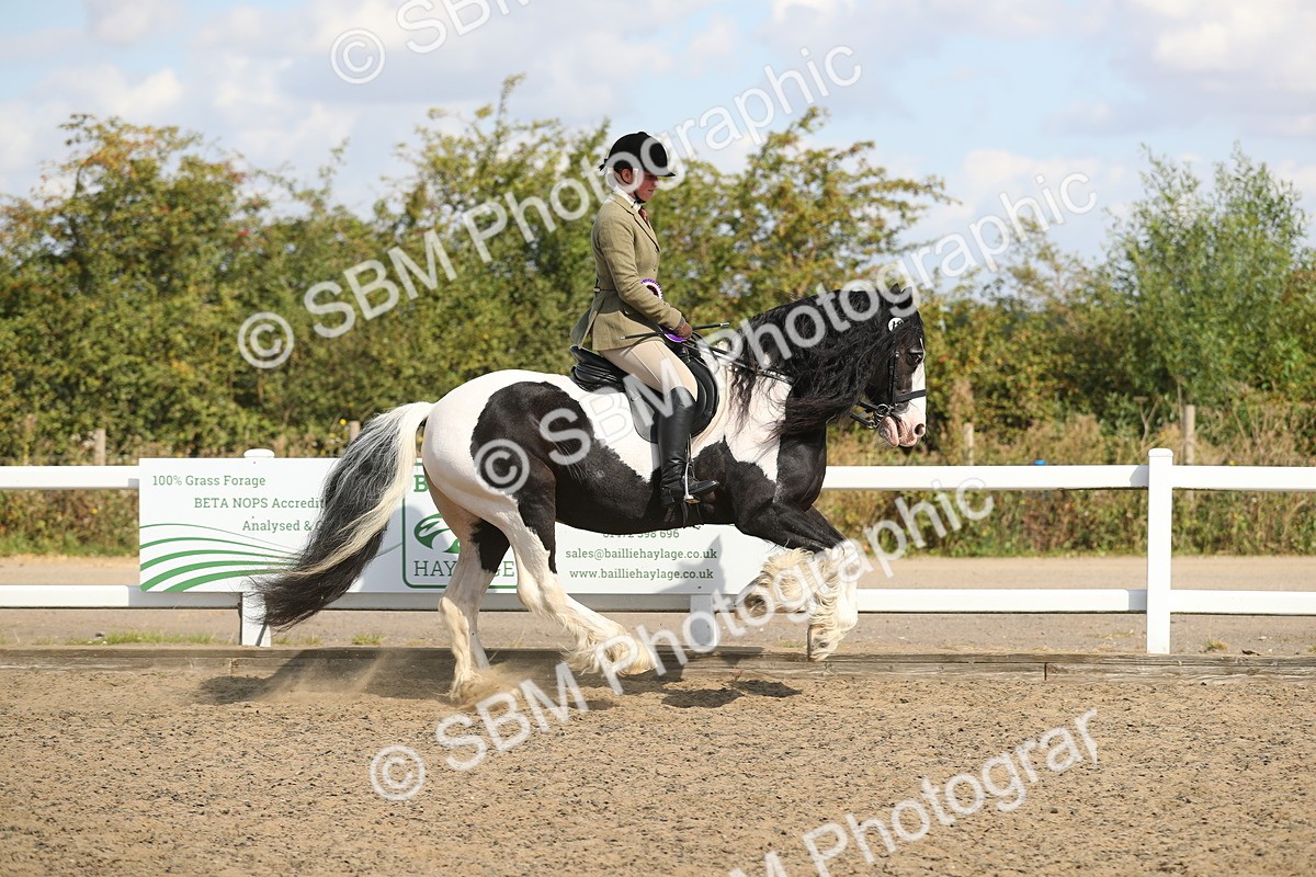 SBM_03313 - Class 44 Riding Club Horse/ Pony