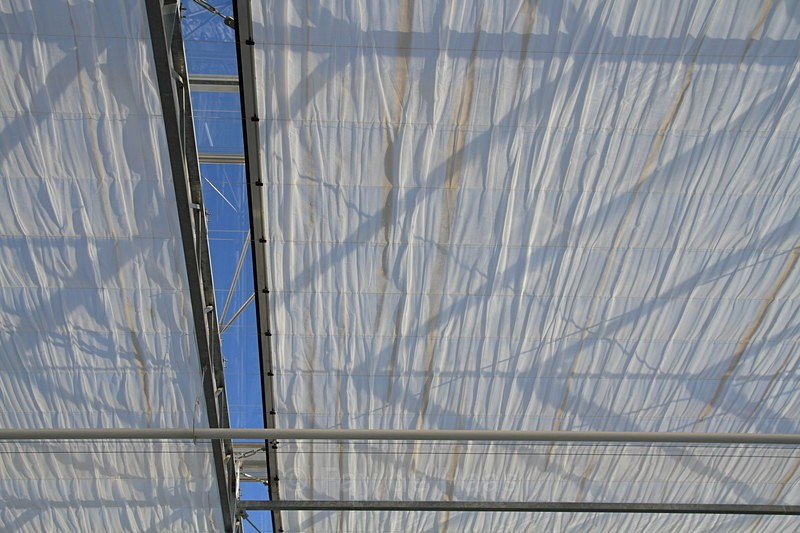 IMG_4573 - Manmade lines
